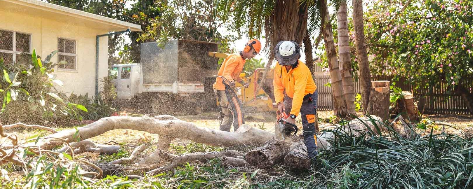 Mackay Arborist Services